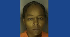 Wanted woman from Ohio arrested after police chase in South Carolina results in multiple crashes