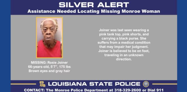 Police searching for missing woman in Louisiana