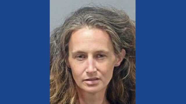 Police searching for endangered missing woman in Ohio