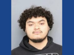 One person arrested following drug bust in Maryland