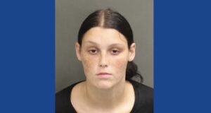 One person arrested following hit-and-run incident in Florida