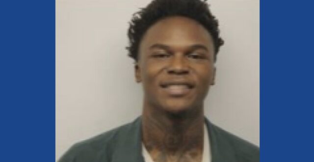One person arrested following drug bust in Georgia