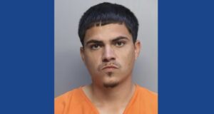 One person arrested following stabbing incident in Florida