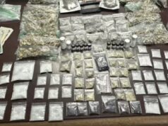 Two people arrested following large drug bust in Michigan