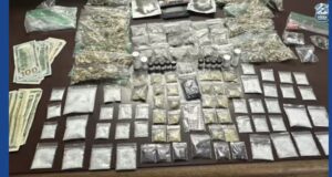 Two people arrested following large drug bust in Michigan