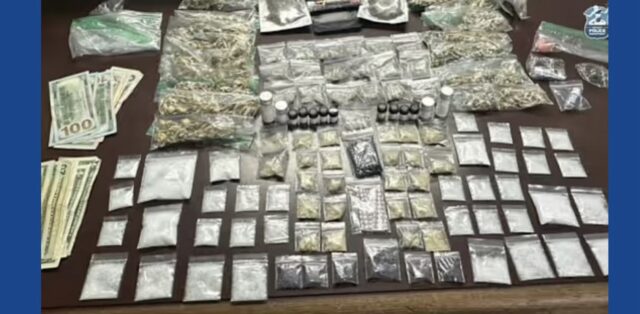 Two people arrested following large drug bust in Michigan