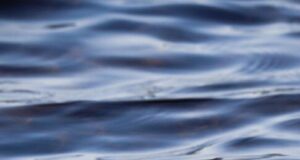 Virginia county restricts water use due to drought