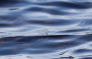 Virginia county restricts water use due to drought