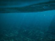 Long-lost ancient ocean left its mark on Ohio, geologists say