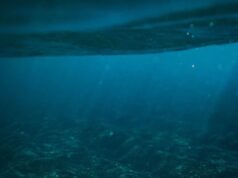Long-lost ancient ocean left its mark on Ohio, geologists say