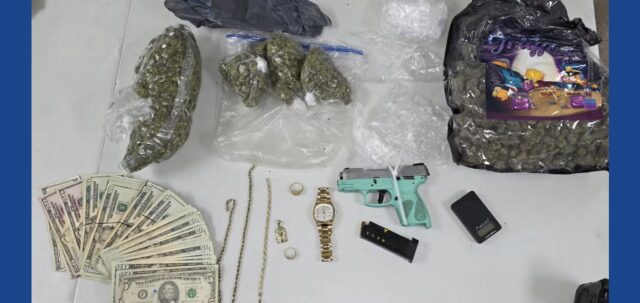 One person arrested following drug bust in Georgia