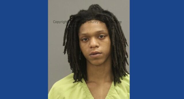 Two people arrested following drug bust in Illinois