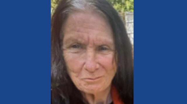 Police searching for missing woman in Florida
