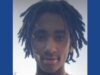Police searching for missing 15-year-old in Michigan