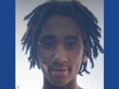 Police searching for missing 15-year-old in Michigan