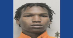 One person arrested following drug bust in Louisiana