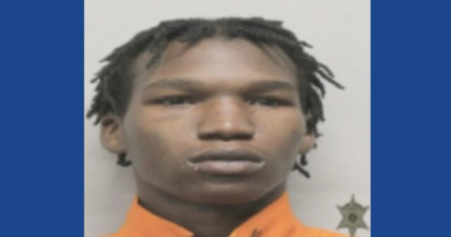 One person arrested following drug bust in Louisiana